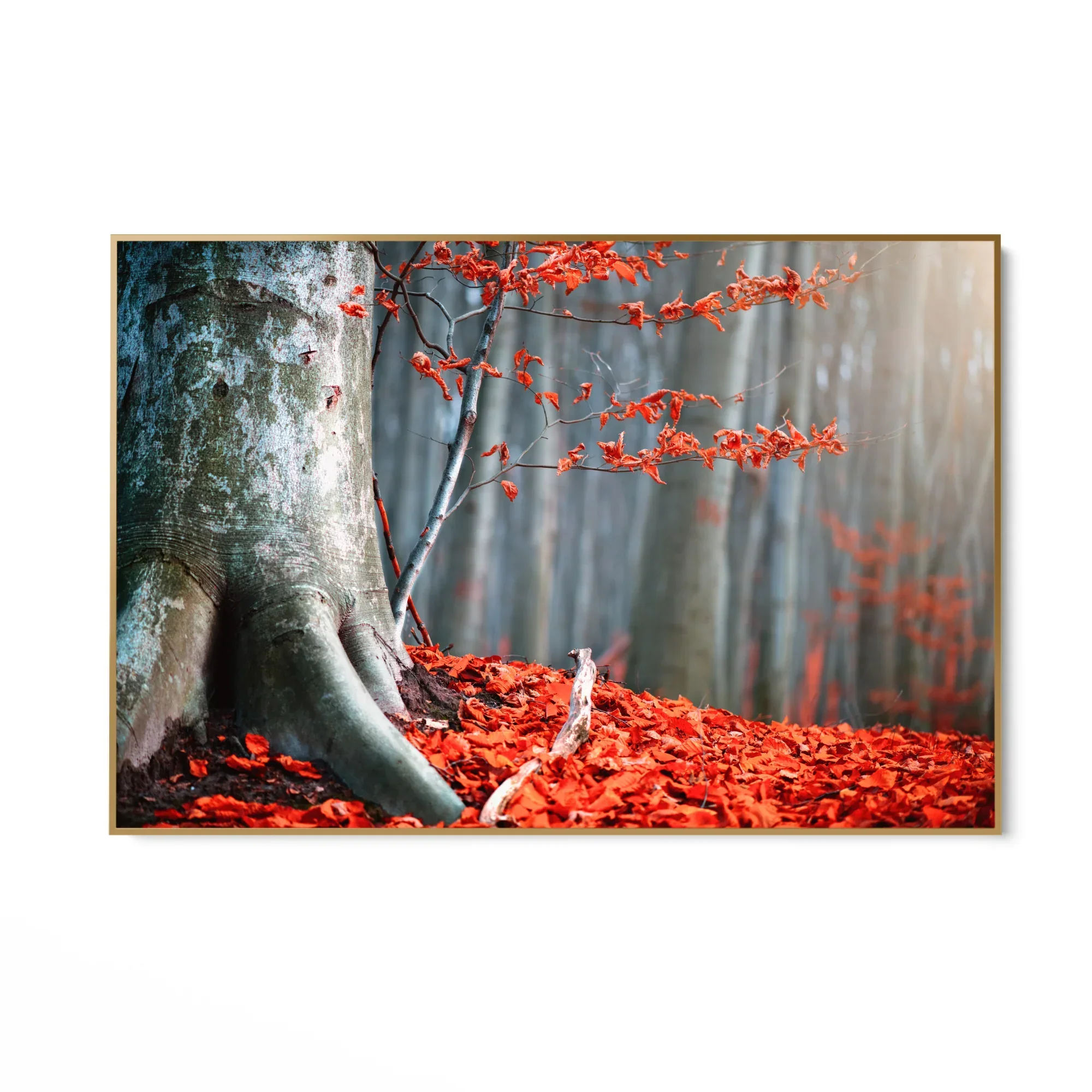 Immagine prodotto 7